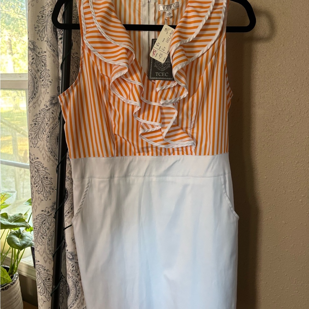 TCEC Orange and White Striped Dress